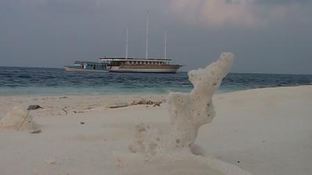 Nautilus Two,Malediven