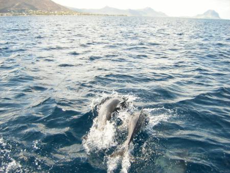 Punto Blue Diving Center,Flic en Flac,Mauritius