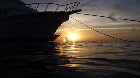 Paradise Divers,Sol y Mar Hotel,Safaga,Ägypten