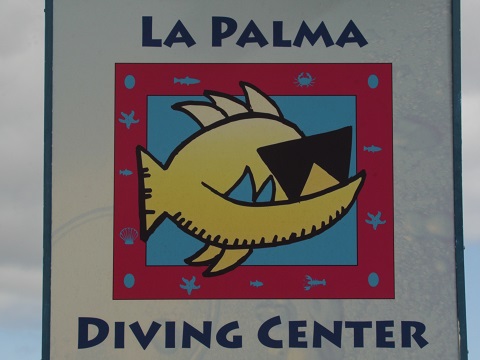 Leuchtschild, La Palma Diving, La Palma Diving, La Palma, Kanaren, Spanien, Kanaren (Kanarische Inseln)