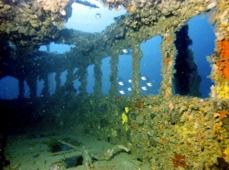 Diving Center Puntizela,Kroatien