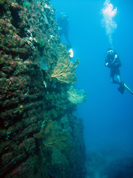 DiveSail,Hotel LUX,Grand Gaube,Mauritius