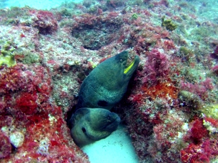 Manta Divingcenter,Sal,Santa Maria,Kap Verde