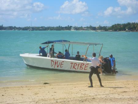 Dive Tribe Mauritius,Mauritius