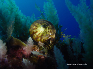 El Hierro, El Hierro,Spanien