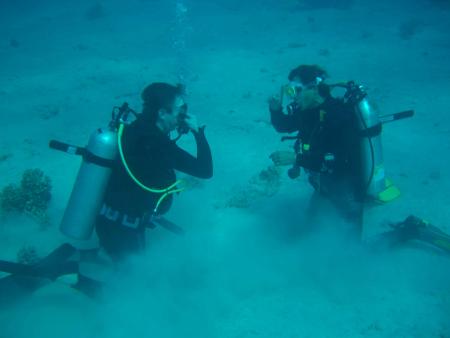 Stingray Diving Center,Hurghada,Ägypten