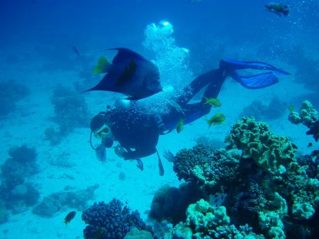 Dream-Diver-International,Hurghada,Ägypten