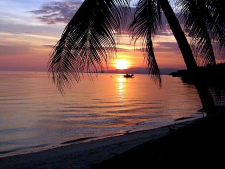 Anda´s FloWer Beach Resort,6311  Island Bohol,Flower Beach Divers,Anda,Philippinen