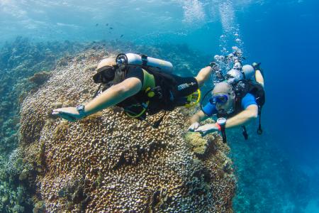 Extra Divers,Marina Lodge,Port Ghalib,El Quseir bis Port Ghalib,Ägypten