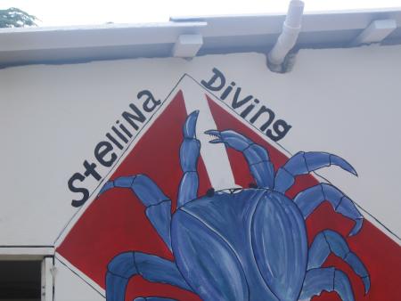 Stellina Diving School,Las Terrenas,Halbinsel Samana,Dominikanische Republik