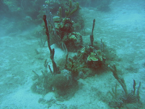 Flamingo Bay, Marine Park, Flamingo Bay,Marine Park,Grenada