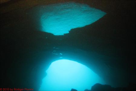 Buceo-Sub La Palma,Kanarische Inseln,Spanien