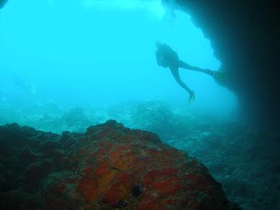 Buceo-Sub La Palma,Kanarische Inseln,Spanien