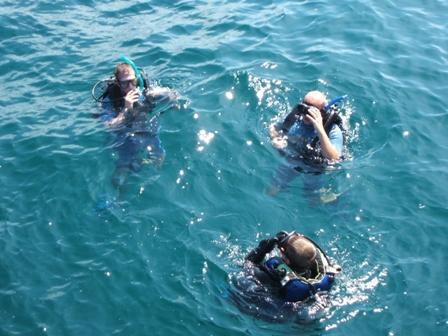 Calypso Diving,Koh Samui,Golf von Thailand,Thailand