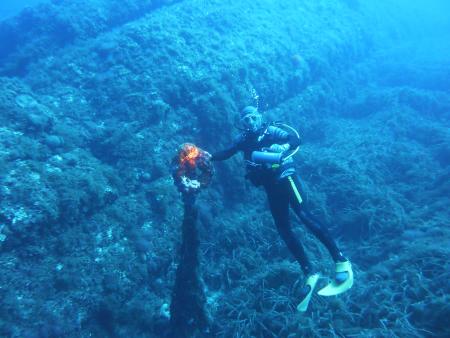 Diving Center,Cala Pada,Ibiza,Balearen,Spanien