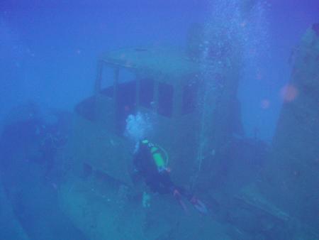 Mad Shark Diving,St. Pauls Bay,Malta