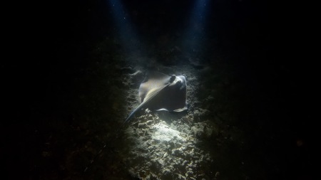 Poseidon Dive Center,Krabi / Ao Nang,Andamanensee,Thailand