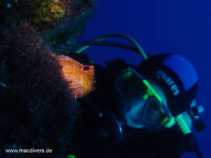 El Hierro, El Hierro,Spanien