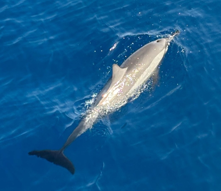 ♡, PANORAMA Guesthouse & Restaurant, Safaga, Ägypten, Safaga