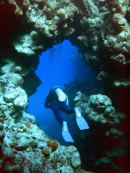 Pioneer-Divers,Marsa Alam,Marsa Alam und südlich,Ägypten,Marsa Alam123,Safaga