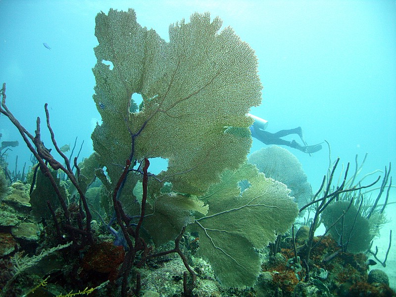 Bayahibe - Parque Nacional II, Bayahibe,Dominikanische Republik