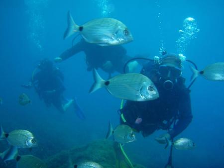 Dive Easy,Acharavi,Korfu,Griechenland