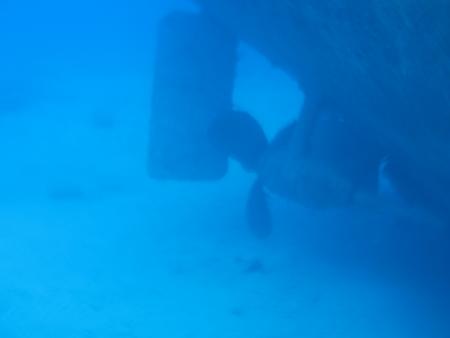Utina Diving College,Xlendi Bay,Gozo,Malta