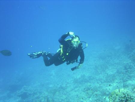 Mermaid Diving Center,Sharm el Sheikh,Sinai-Süd bis Nabq,Ägypten