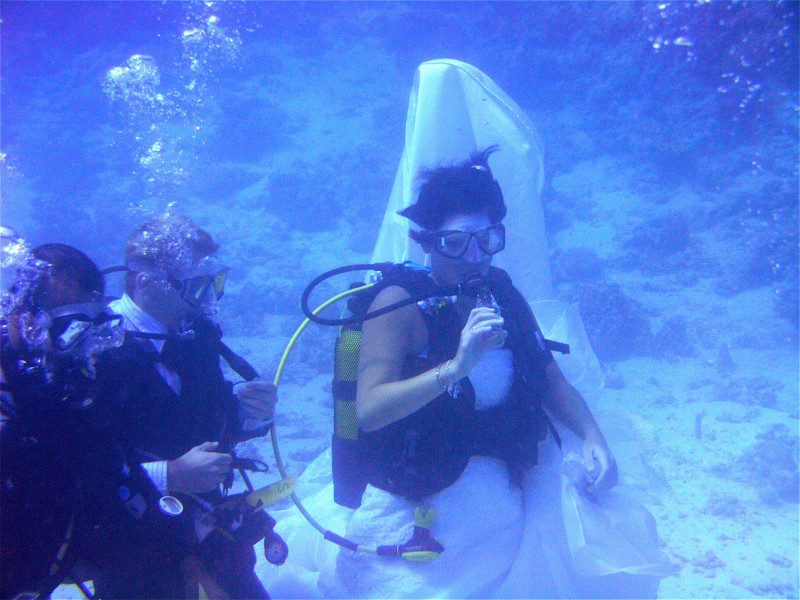 Unterwasserhochzeit Tobia Arbaa, Safaga ORCA - Dive Clubs,Ägypten