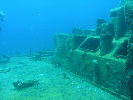 Veronika Wreck,Grenada