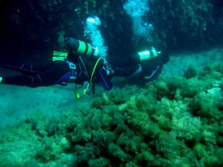 Atlantis,Rethymnon,Kreta,Griechenland