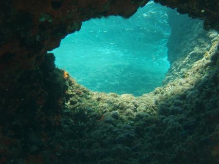 Aquarius Diving Dubrovnik,Kroatien