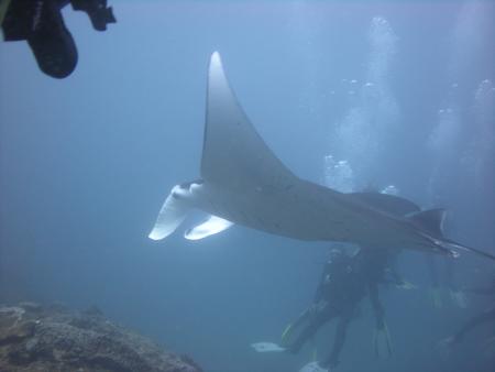 Water Worx Dive Center,Padang Bai,Bali,Indonesien