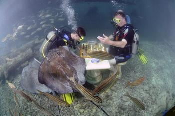 Unterwasser Schach - Curacao