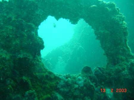 Evergreen Diving,Busuanga,Palawan,Philippinen
