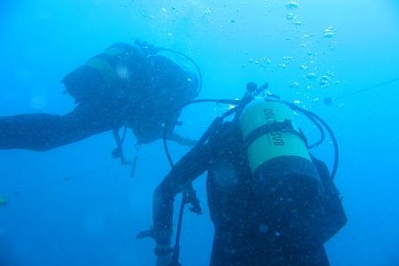 Calabria Diving & Services,Italien