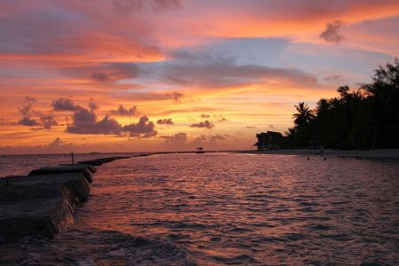 Ellaidhoo,Ari Atoll,Alfons Straub Dive & Sail,Malediven