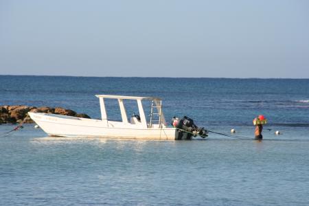 Neptunodive,Juan-Dolio,Dominikanische Republik