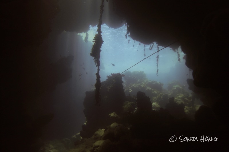 TG Caves mit herrlichen Lichtspielen, diving.DE Akassia, Ägypten, El Quseir bis Port Ghalib