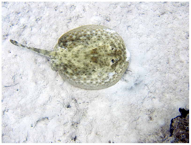 Bayahibe, Bayahibe,Dominikanische Republik