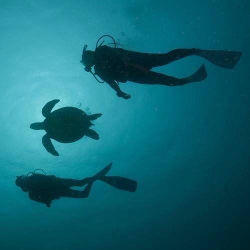 as-diving, Ägypten, Hurghada