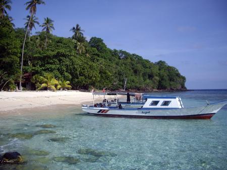 Murex Dive Resort,Banka Island,Sulawesi,Indonesien