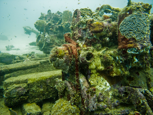 Sabang Wrecks und Almajane, Puerto Galera,Sabang,Philippinen