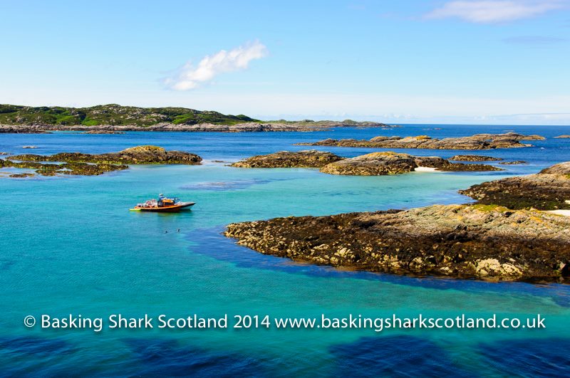 Die Cairns im NW von Coll, Cairns of Coll, Seehunde, Schottland, Basking Shark Scotland, Großbritannien