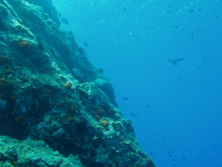 Tropea Diving & Services,Tropea,Italien