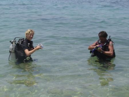 Calypso Diving Koh Tao,Golf von Thailand,Thailand