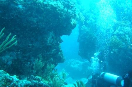 Little Bay Dive Center,Sint Maarten,St. Martin