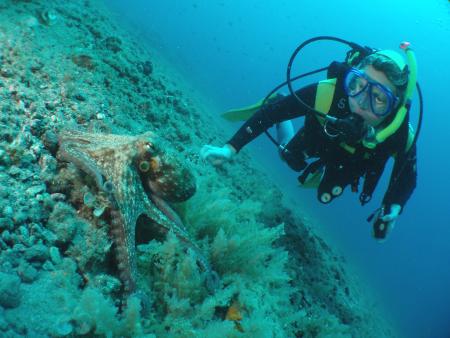 M.A.-Diving,Puerto del Carmen,Lanzarote,Kanarische Inseln,Spanien