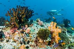 Baros, Malediven - Universal Resort