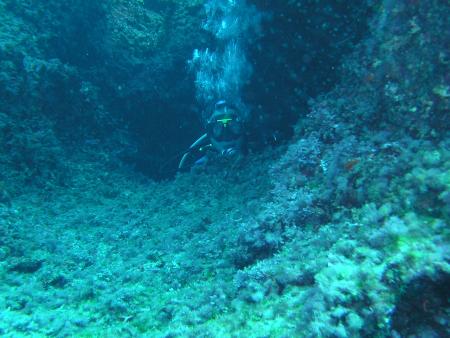 Menorca Divers S.L.,Binisafua,Menorca,Balearen,Spanien